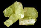 Bag Of Five Yellow Apatite Crystals ( - ) - Morocco #108366-1